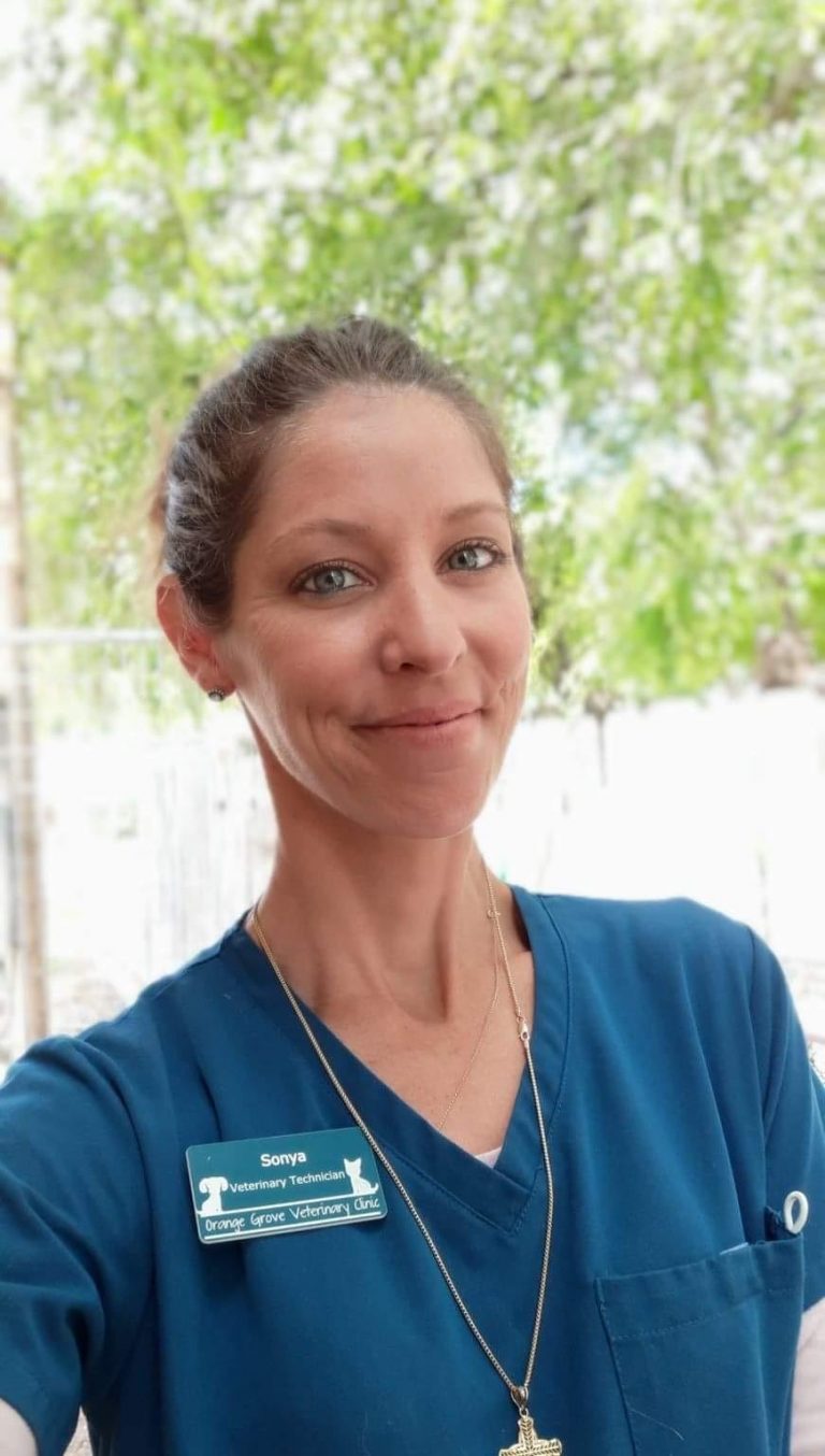 Our Team Orange Grove Veterinary Clinic